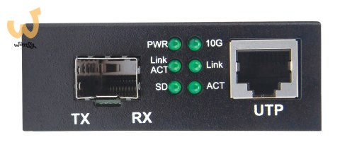 INTELLINET MEDIA KONWERTER 10GBASE-T NA 10GBASE-R, INTELLINET MEDIA KONWERTER 10GBASE-T NA 10GBASE-R,