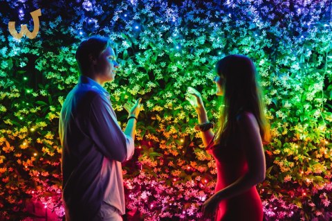 Inteligentne lampki choinkowe Twinkly 600 RGB 48m Inteligentne lampki choinkowe Twinkly 600 RGB 48m