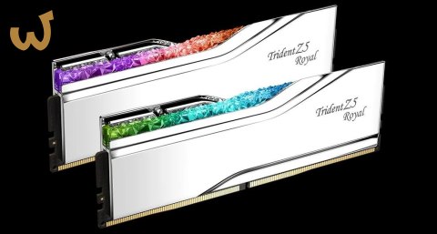 G.SKILL TRIDENT Z5 ROYAL RGB DDR5 2X16GB 6400MHZ CL32 XMP3 SILVER F5-6400J3239G16GX2-TR5S G.SKILL TRIDENT Z5 ROYAL RGB DDR5 2X16GB 6400MHZ CL32 XMP3 SILVER F5-6400J3239G16GX2-TR5S