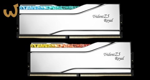 G.SKILL TRIDENT Z5 ROYAL RGB DDR5 2X32GB 6400MHZ CL32 XMP3 SILVER F5-6400J3239G32GX2-TR5S G.SKILL TRIDENT Z5 ROYAL RGB DDR5 2X32GB 6400MHZ CL32 XMP3 SILVER F5-6400J3239G32GX2-TR5S