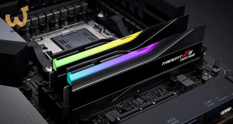 G.SKILL TRIDENT NEO AMD RGB DDR5 2X24GB 8000MHZ CL40 BLACK F5-8000J4048G24GX2-TZ5NR G.SKILL TRIDENT NEO AMD RGB DDR5 2X24GB 8000MHZ CL40 BLACK F5-8000J4048G24GX2-TZ5NR