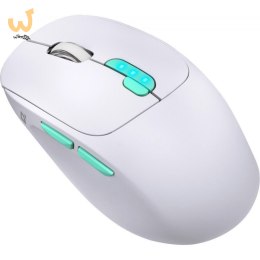 DEFENDER MYSZ NITTA MM-307 RF+BT OPTIC 1600dpi 6P BIAŁA
