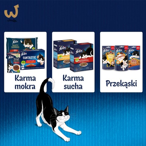 Purina Felix Fantastic Junior Kurczak - mokra karma dla kota - 85 g Purina Felix Fantastic Junior Kurczak - mokra karma dla kota - 85 g