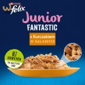 Purina Felix Fantastic Junior Kurczak - mokra karma dla kota - 85 g