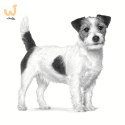 ROYAL CANIN VHN Dog Anallergenic Small 3kg (WYPRZEDAŻ)