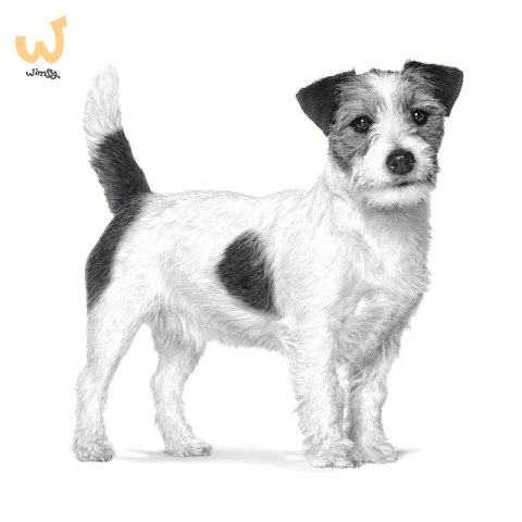 ROYAL CANIN VHN Dog Anallergenic Small 3kg (WYPRZEDAŻ) ROYAL CANIN VHN Dog Anallergenic Small 3kg (WYPRZEDAŻ)