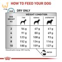ROYAL CANIN VHN Dog Anallergenic Small 3kg (WYPRZEDAŻ)