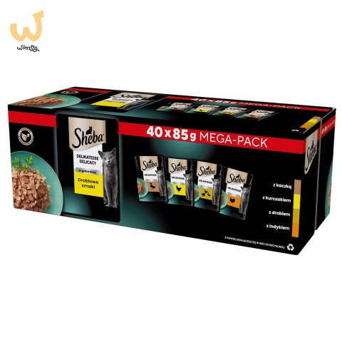 SHEBA Delicacy drobiowe smaki w galarecie- Drób - Mokra karma dla kota - 40x85g SHEBA Delicacy drobiowe smaki w galarecie- Drób - Mokra karma dla kota - 40x85g