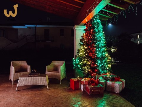 Inteligentne lampki choinkowe Twinkly 250 RGB 20m Inteligentne lampki choinkowe Twinkly 250 RGB 20m