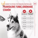 ROYAL CANIN Joint&Ageing Adult Dog Supplements 240g