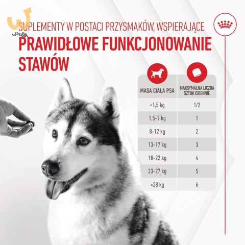 ROYAL CANIN Joint&Ageing Adult Dog Supplements 240g ROYAL CANIN Joint&Ageing Adult Dog Supplements 240g