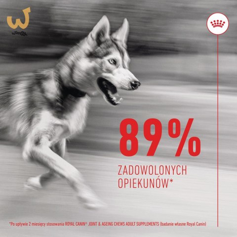 ROYAL CANIN Joint&Ageing Adult Dog Supplements 240g ROYAL CANIN Joint&Ageing Adult Dog Supplements 240g