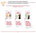 ROYAL CANIN Joint&Ageing Adult Dog Supplements 240g