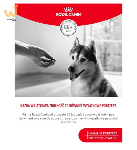 ROYAL CANIN Joint&Ageing Adult Dog Supplements 240g ROYAL CANIN Joint&Ageing Adult Dog Supplements 240g