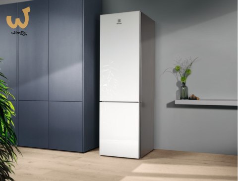 Chłodziarko-zamrażarka ELECTROLUX LNT7ME36G2 Chłodziarko-zamrażarka ELECTROLUX LNT7ME36G2