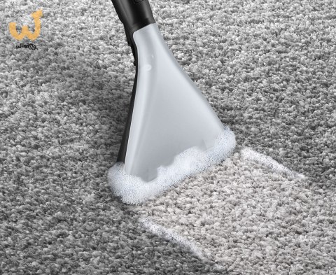 Odkurzacz BOSCH BWD 421 PET AquaWash&Clean Odkurzacz BOSCH BWD 421 PET AquaWash&Clean
