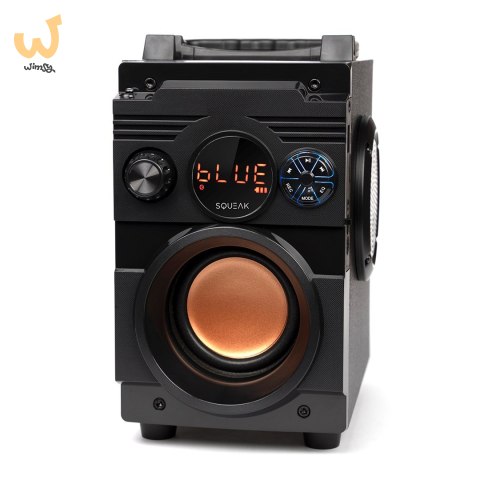 SQUEAK GŁOŚNIK BASSBLASTER BLUETOOTH 5.1, RADIO FM, ODTWARZACZ MP3 SQ1001 SQUEAK GŁOŚNIK BASSBLASTER BLUETOOTH 5.1, RADIO FM, ODTWARZACZ MP3 SQ1001