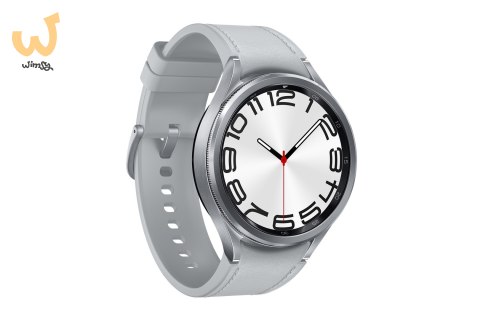 Samsung Galaxy Watch 6 (R960) Classic 47mm BT, Silver Samsung Galaxy Watch 6 (R960) Classic 47mm BT, Silver