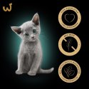 SHEBA Nature's Collection Drobiowe smaki w galarecie- Junior Kurczak/Łosoś - Mokra karma dla kota 40x85g