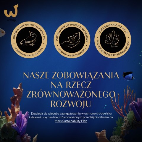 SHEBA Nature's Collection Drobiowe smaki w galarecie- Junior Kurczak/Łosoś - Mokra karma dla kota 40x85g SHEBA Nature's Collection Drobiowe smaki w galarecie- Junior Kurczak/Łosoś - Mokra karma dla kota 40x85g