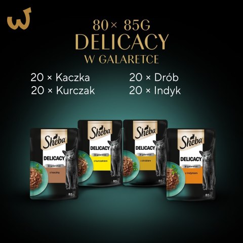 SHEBA Delicacy Drobiowe Smaki w galaretce - mokra karma dla kotów - 80x 85 g SHEBA Delicacy Drobiowe Smaki w galaretce - mokra karma dla kotów - 80x 85 g