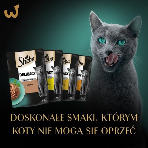 SHEBA Delicacy Drobiowe Smaki w galaretce - mokra karma dla kotów - 80x 85 g SHEBA Delicacy Drobiowe Smaki w galaretce - mokra karma dla kotów - 80x 85 g
