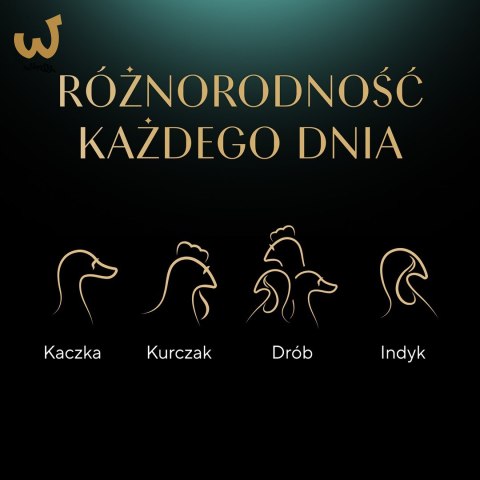 SHEBA Delicacy Drobiowe Smaki w galaretce - mokra karma dla kotów - 80x 85 g SHEBA Delicacy Drobiowe Smaki w galaretce - mokra karma dla kotów - 80x 85 g