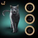 Sheba Delicacy Rybne Smaki w galaretce 80x85g