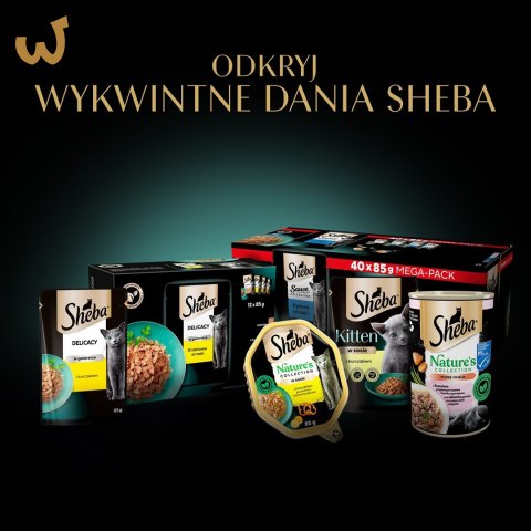 Sheba Delicacy Rybne Smaki w galaretce 80x85g Sheba Delicacy Rybne Smaki w galaretce 80x85g