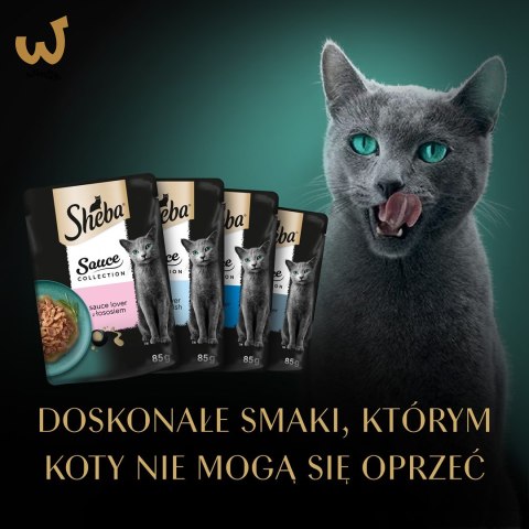 SHEBA Sauce Collection Mix Smaków rybnych w sosie - Mokra karma dla kota - 40x85g SHEBA Sauce Collection Mix Smaków rybnych w sosie - Mokra karma dla kota - 40x85g