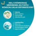PURINA ONE Sterilcat Wołowina 9,75kg
