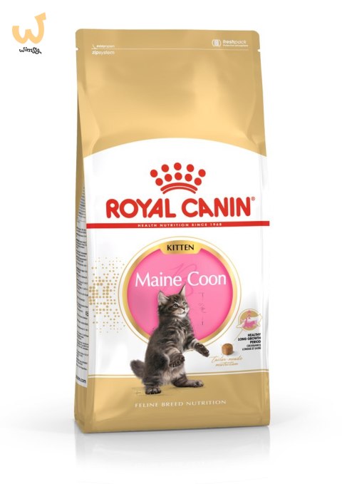 ROYAL CANIN FBN Maine Coon Kitten - sucha karma dla kociąt - 4kg ROYAL CANIN FBN Maine Coon Kitten - sucha karma dla kociąt - 4kg