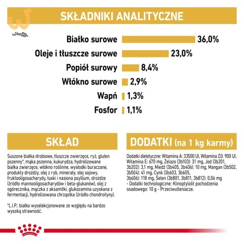 ROYAL CANIN FBN Maine Coon Kitten - sucha karma dla kociąt - 4kg ROYAL CANIN FBN Maine Coon Kitten - sucha karma dla kociąt - 4kg