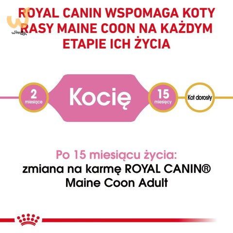 ROYAL CANIN FBN Maine Coon Kitten - sucha karma dla kociąt - 4kg ROYAL CANIN FBN Maine Coon Kitten - sucha karma dla kociąt - 4kg