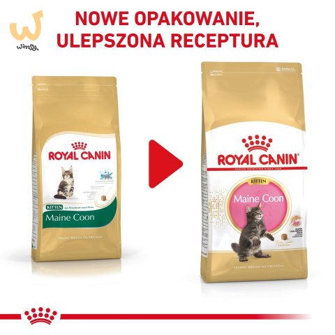 ROYAL CANIN FBN Maine Coon Kitten - sucha karma dla kociąt - 4kg ROYAL CANIN FBN Maine Coon Kitten - sucha karma dla kociąt - 4kg