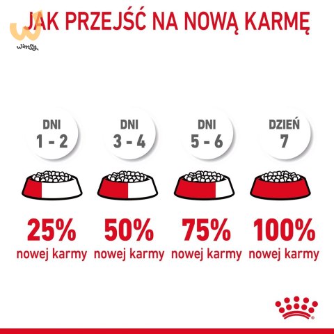 ROYAL CANIN FCN Digestive Care - sucha karma dla kota dorosłego - 4 kg ROYAL CANIN FCN Digestive Care - sucha karma dla kota dorosłego - 4 kg