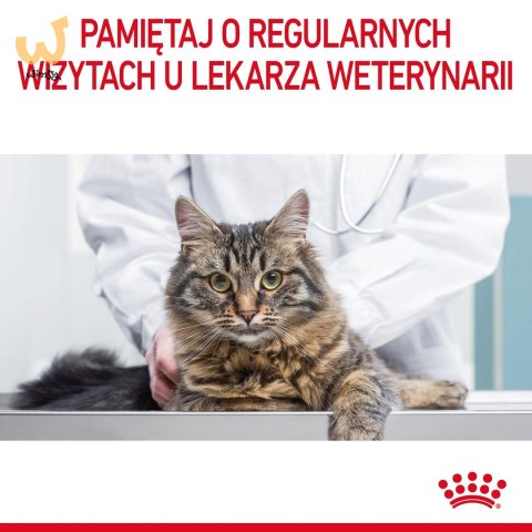 ROYAL CANIN FCN Digestive Care - sucha karma dla kota dorosłego - 4 kg ROYAL CANIN FCN Digestive Care - sucha karma dla kota dorosłego - 4 kg