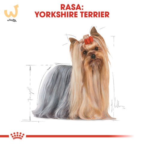 ROYAL CANIN BHN Yorkshire Terrier Adult - sucha karma dla psa dorosłego - 7,5 kg ROYAL CANIN BHN Yorkshire Terrier Adult - sucha karma dla psa dorosłego - 7,5 kg