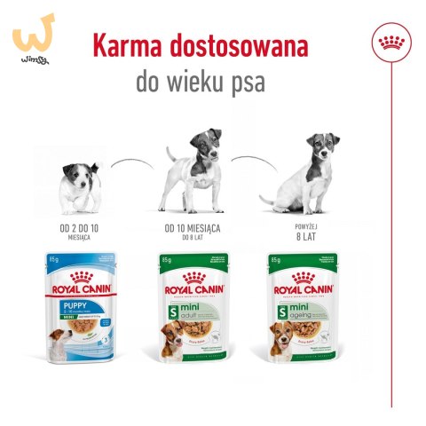 ROYAL CANIN Mini Ageing 12+ - mokra karma dla psa - 12x 85 g ROYAL CANIN Mini Ageing 12+ - mokra karma dla psa - 12x 85 g