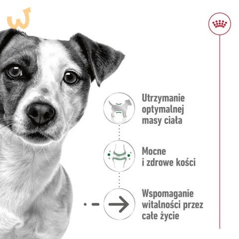 ROYAL CANIN Mini Ageing 12+ - mokra karma dla psa - 12x 85 g ROYAL CANIN Mini Ageing 12+ - mokra karma dla psa - 12x 85 g