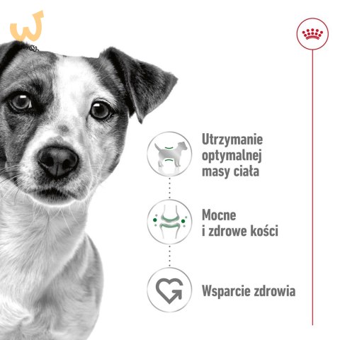 ROYAL CANIN SHN Mini Adult BF 8kg ROYAL CANIN SHN Mini Adult BF 8kg