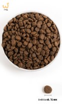 ACANA Regionals Ranchlands Dog - sucha karma dla psa - 11,4 kg