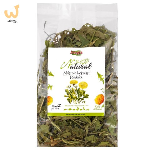 ALEGIA Natural Mniszek Lekarski 90g ALEGIA Natural Mniszek Lekarski 90g