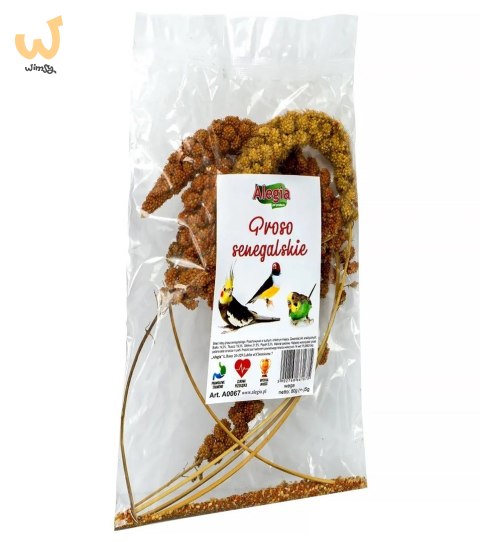 ALEGIA przysmak proso Senegalskie 80g ALEGIA przysmak proso Senegalskie 80g