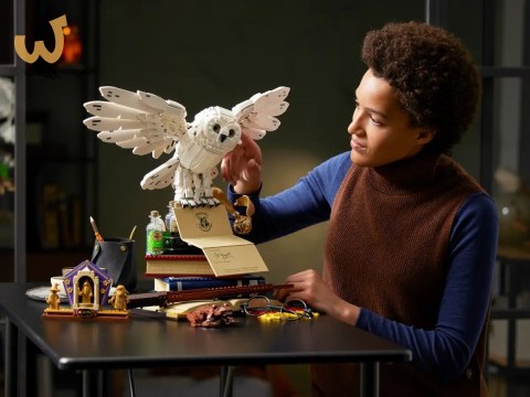 LEGO Harry Potter 76391 Ikony - Hogwartu Edycja Kolekcjonerska LEGO Harry Potter 76391 Ikony - Hogwartu Edycja Kolekcjonerska